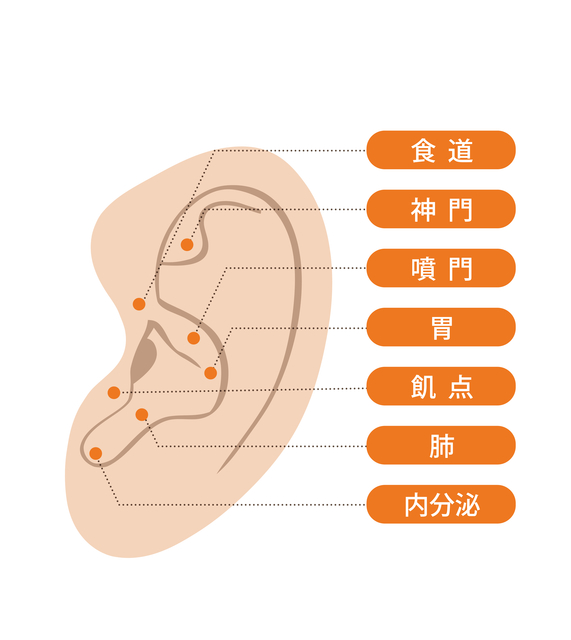 耳つぼダイエット