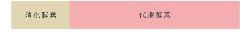 ファスティング中